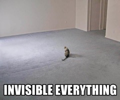 lolcat_invisible_everything
