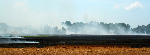 'Delta Burning' by lucianvenutian @ Flickr