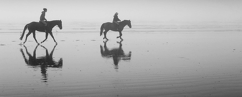 Two equestrian riders, girls on horseback, in low tide reflections. Serene