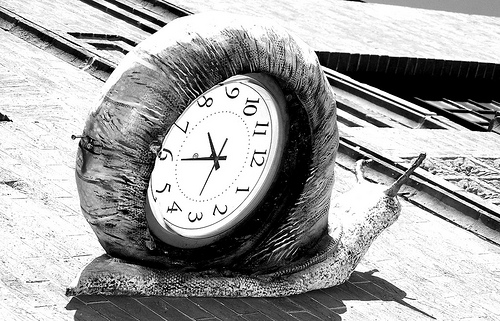 Snail clock