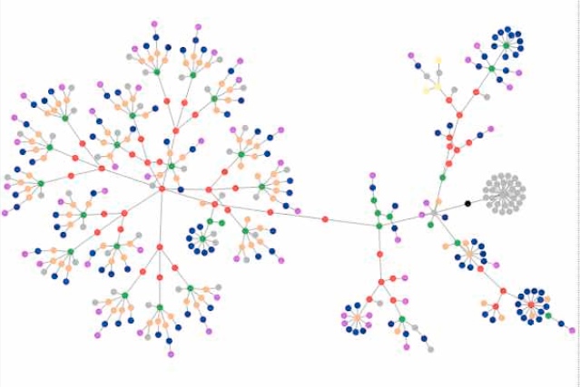 Network flower diagram