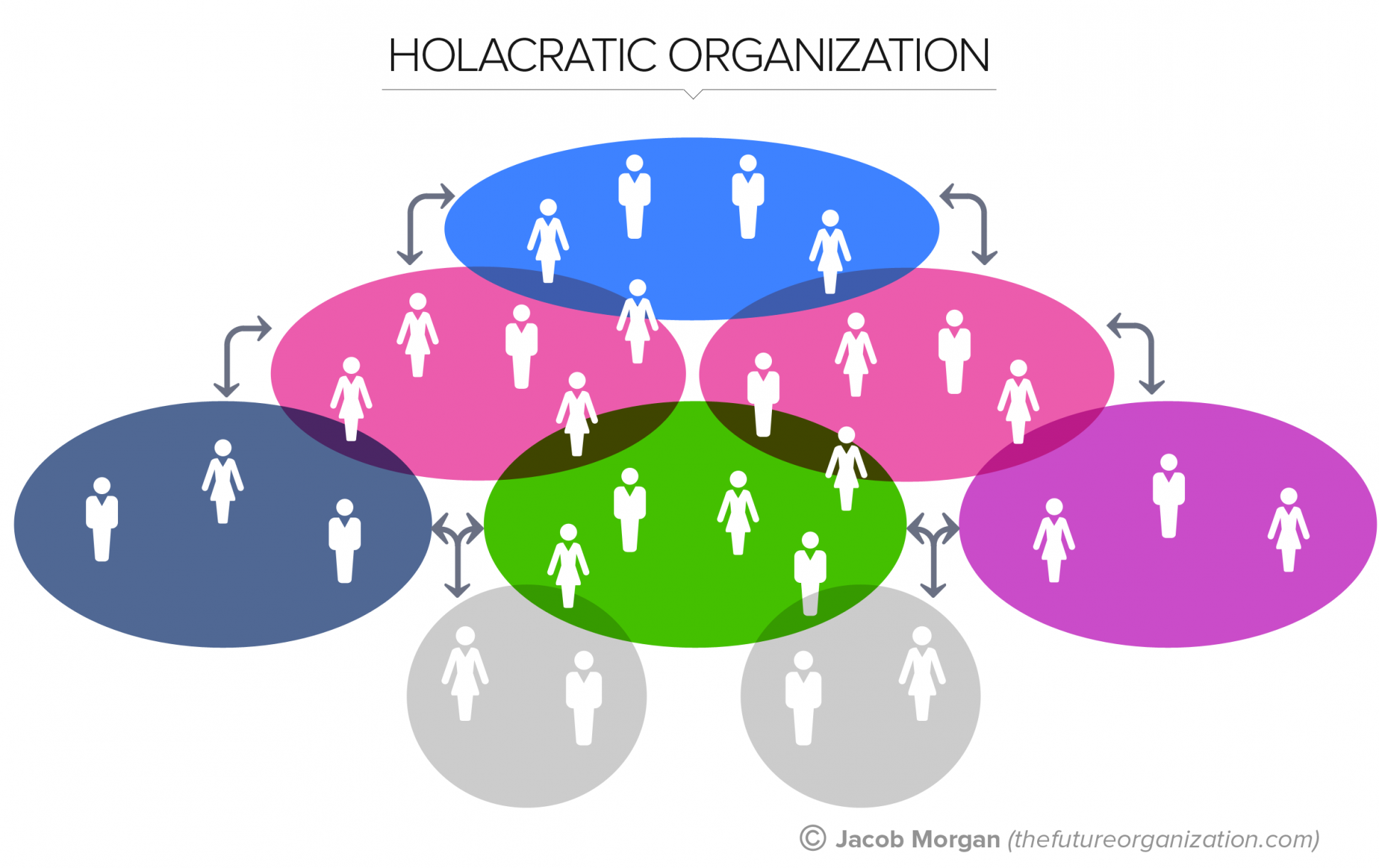 Holocratic Organization