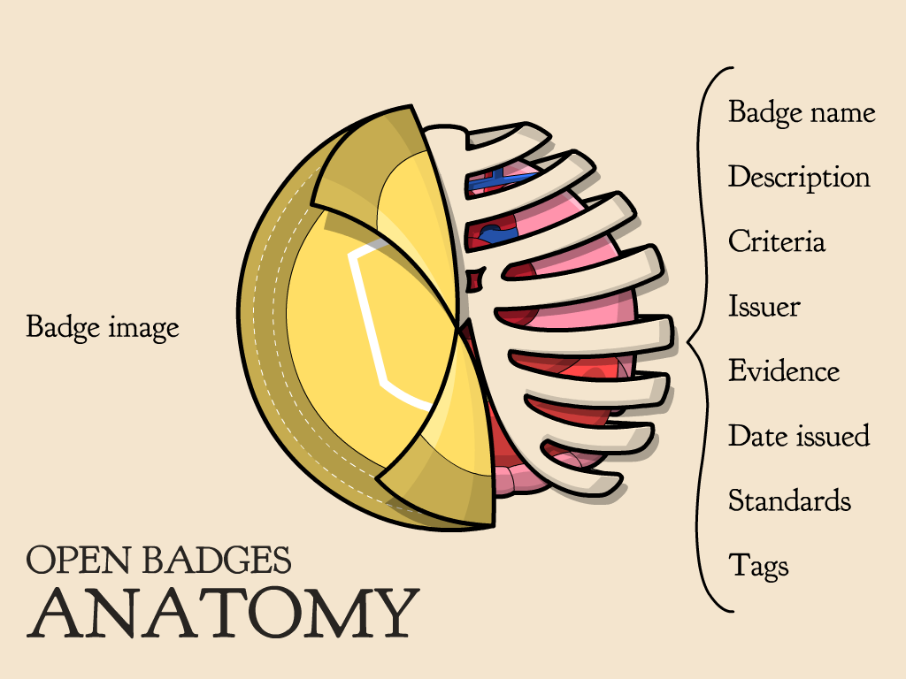 Anatomy of an Open Badge (CC BY-SA Kyle Bowen)