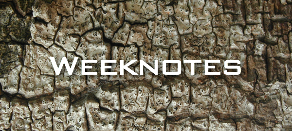 Weeknote 34/2013