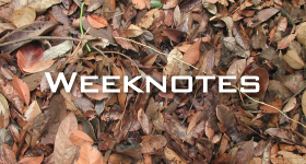 Weeknote 39/2013