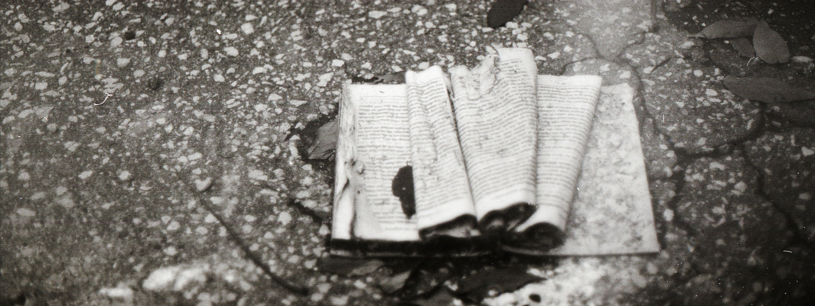 abandoned book