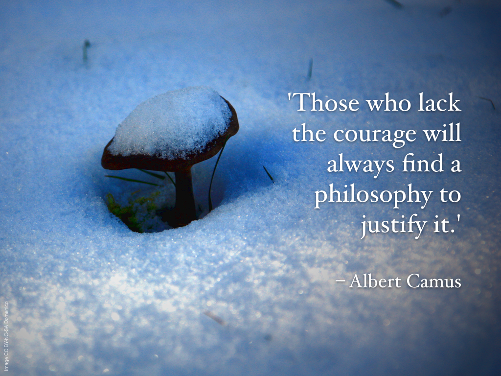 Wednesday Wisdom #24: Courage