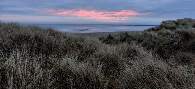 Beach with red sky in the distance and dunes in foreground