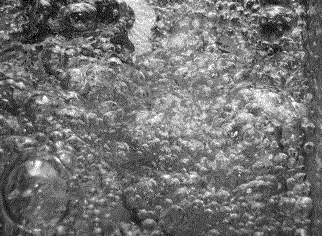 Dithered black-and-white image of bubbles.