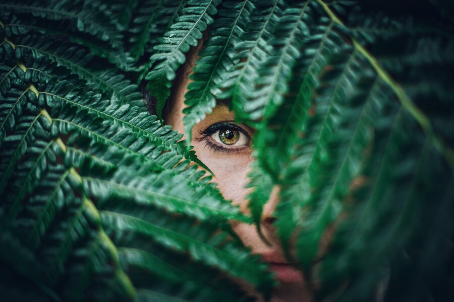 Person looking through fern leaves, seeming like they're hiding