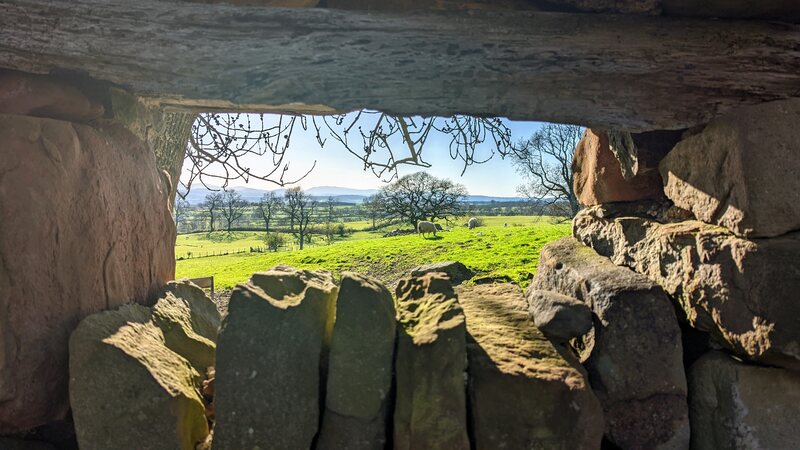 Pastoral scene (hills, trees, sheep) looking through a window in a stone wall