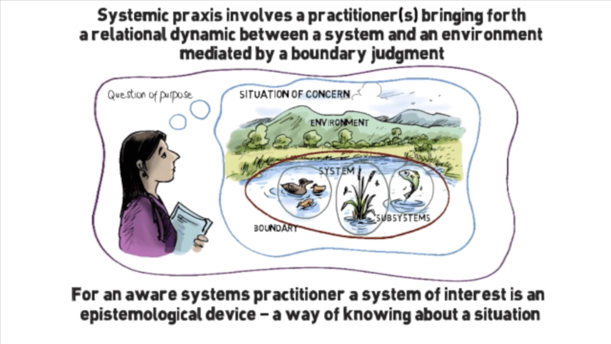 Diagram of woman thinking about a situation of concern. Text reads: 'Systemic praxis involves a practitioner (s) bringing forth a relational dynamic between a system and an environment mediated by a boundary judgement. For an aware systems practitioner a system of interest is an epistemological device - a way of knowing about a situation.'