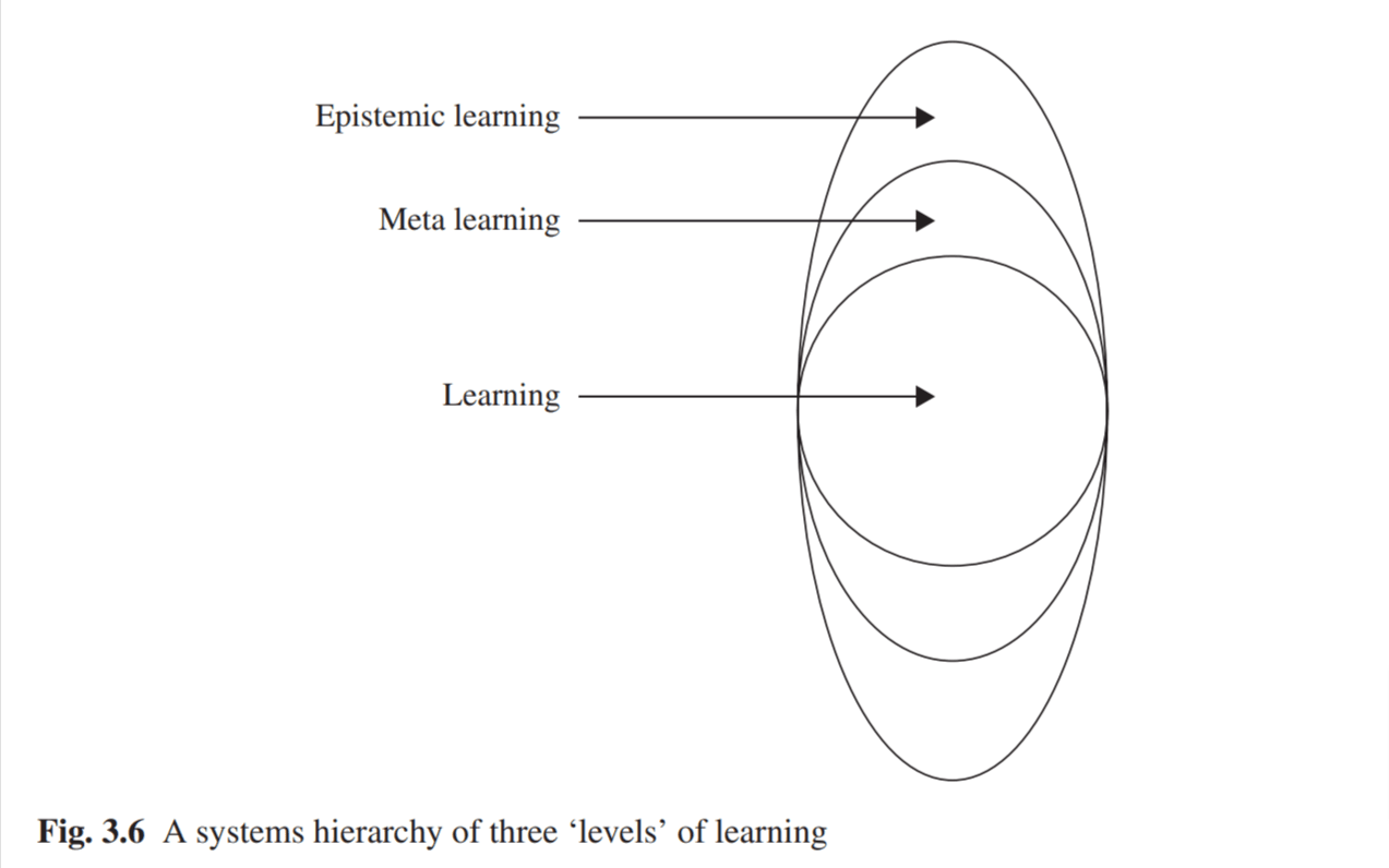 A circle labelled 'Learning' nested inside two ovals, the first labelled 'Meta learning' and the second 'Epistemic learning'