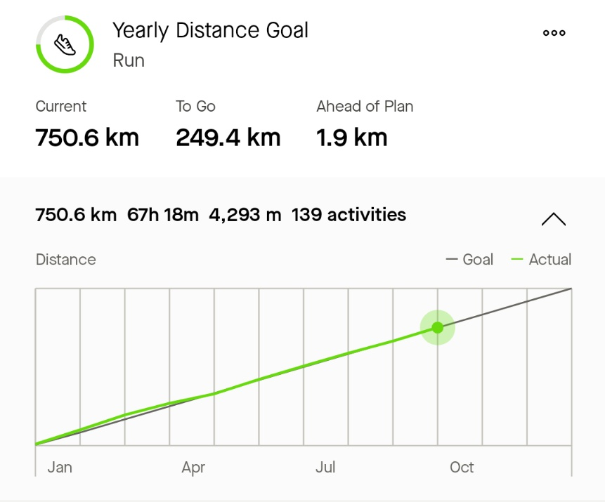 Strava screenshot showing 750.6km completed of 1,000km annual running goal