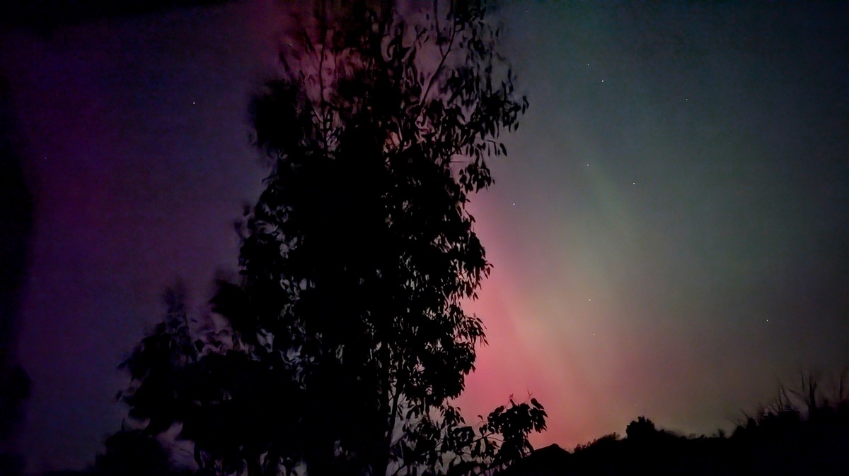 Aurora (northern lights) in the sky with the shadow of a tree visible